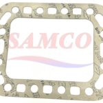 Dorin Terminal Plate Gasket, 1CGF201-02